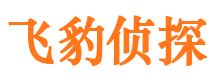 松山市侦探